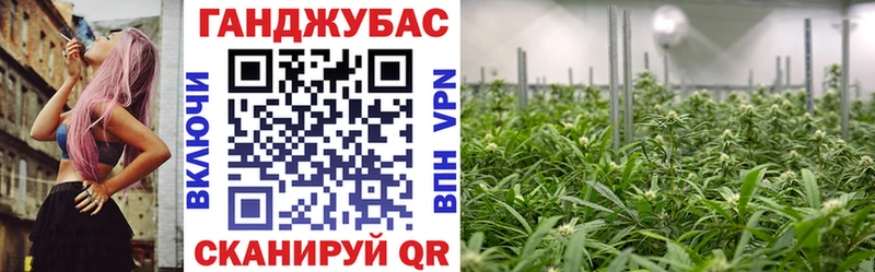 Магазины продажи наркотиков Карачаевск Кокаин Меф Гашиш Канабис