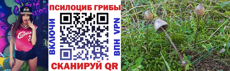 Галлюциногенные грибы ЛСД  где продают наркотики  Карачаевск 
