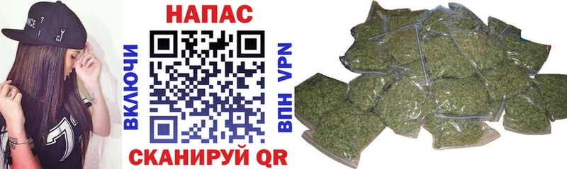 Бошки марихуана конопля Карачаевск